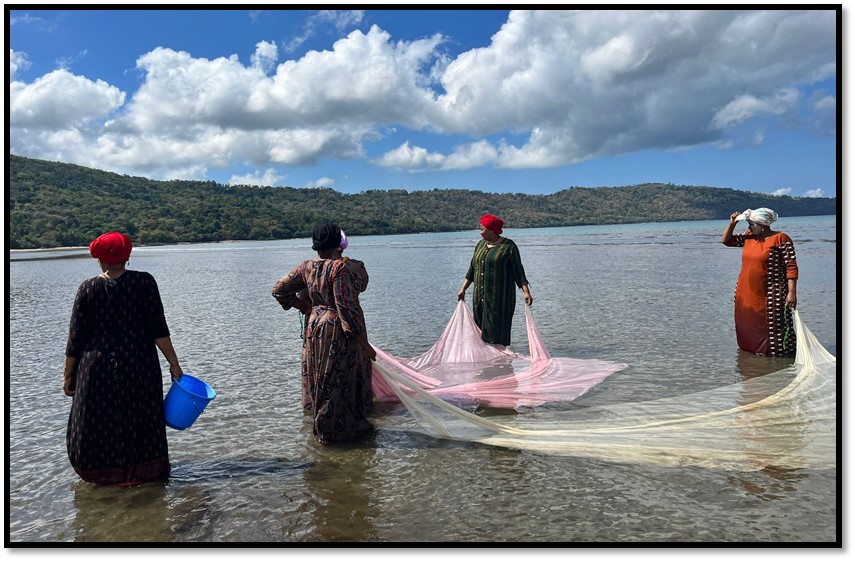 Photos copyright En Terre Indigene Pêche au djarifa_Mayotte_En Terre Indigène