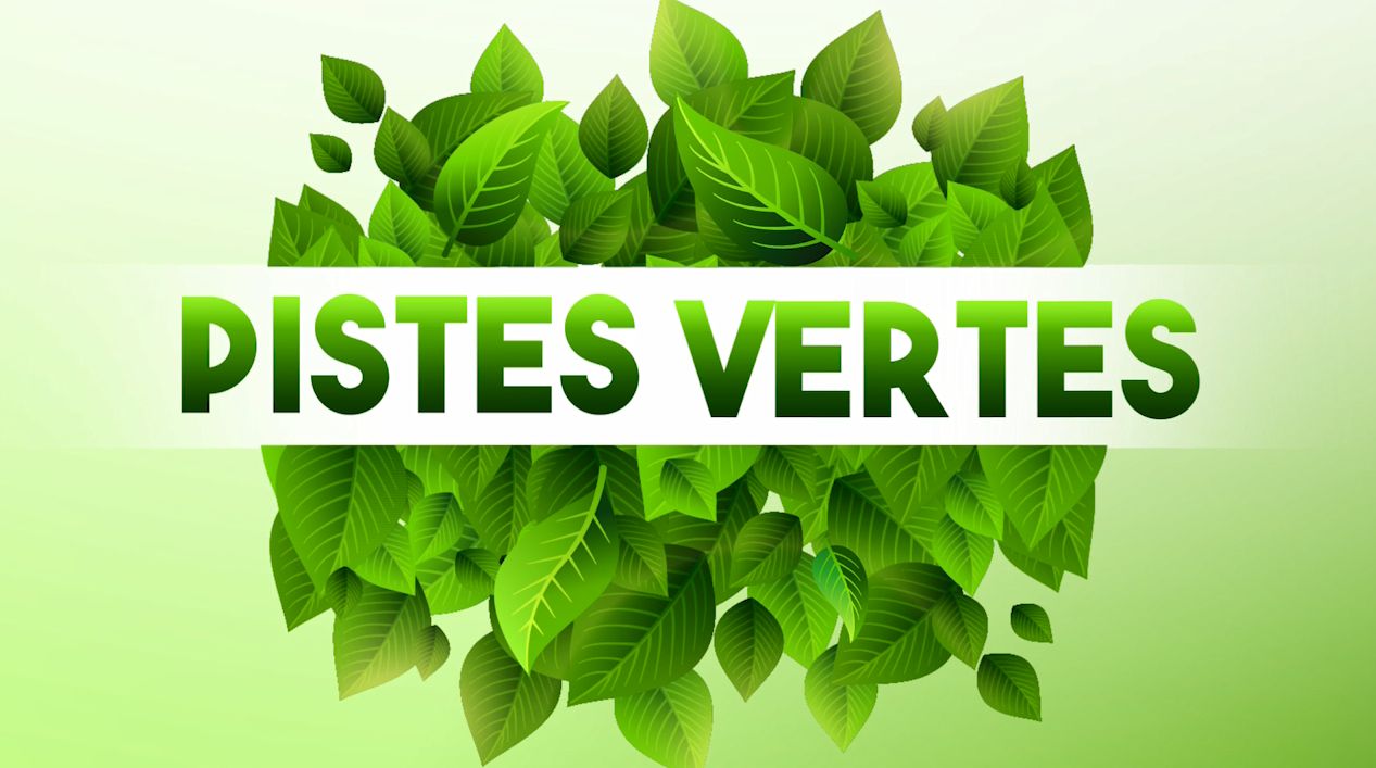 Logo Pistes Vertes