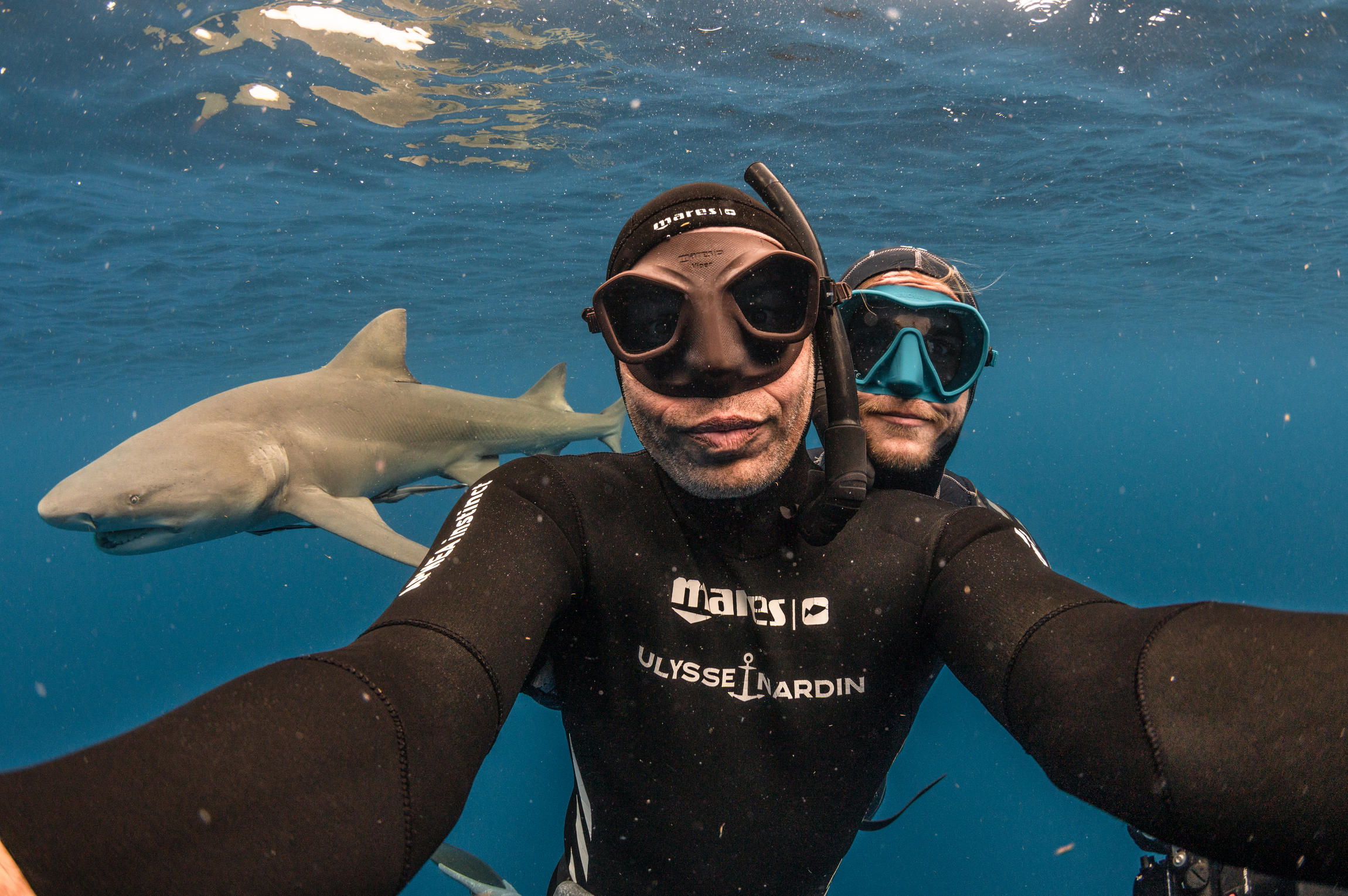 Requins, l'aventure secrète ©Frédéric BUYLE