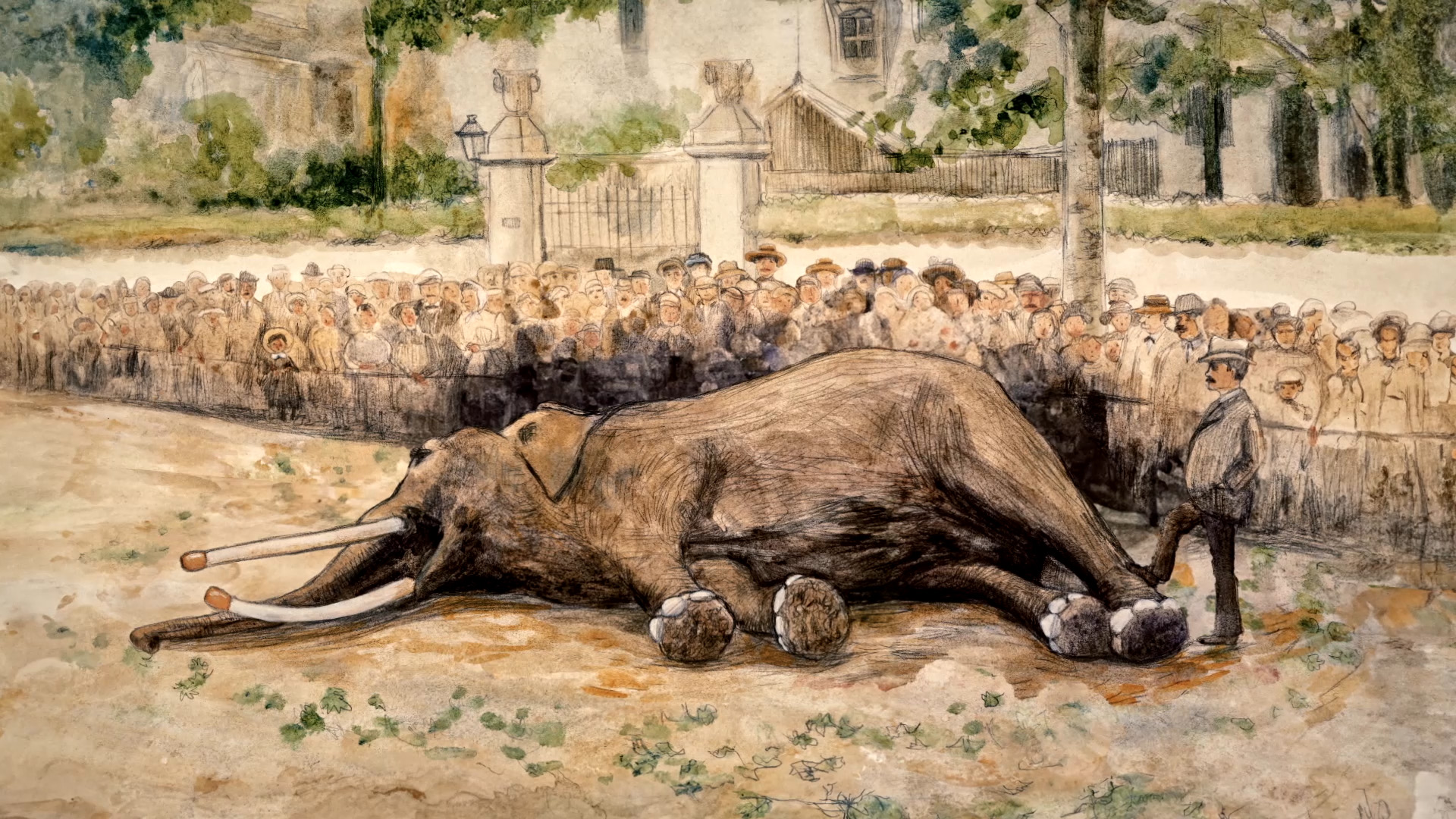 La tragique histoire de l’éléphant Fritz