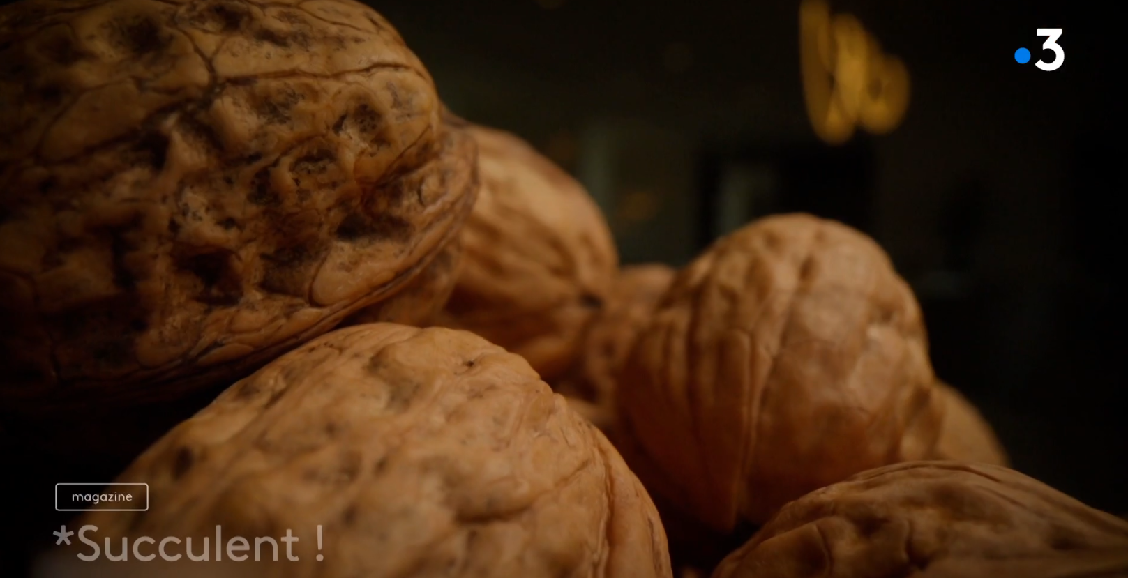 succulent les noix 
