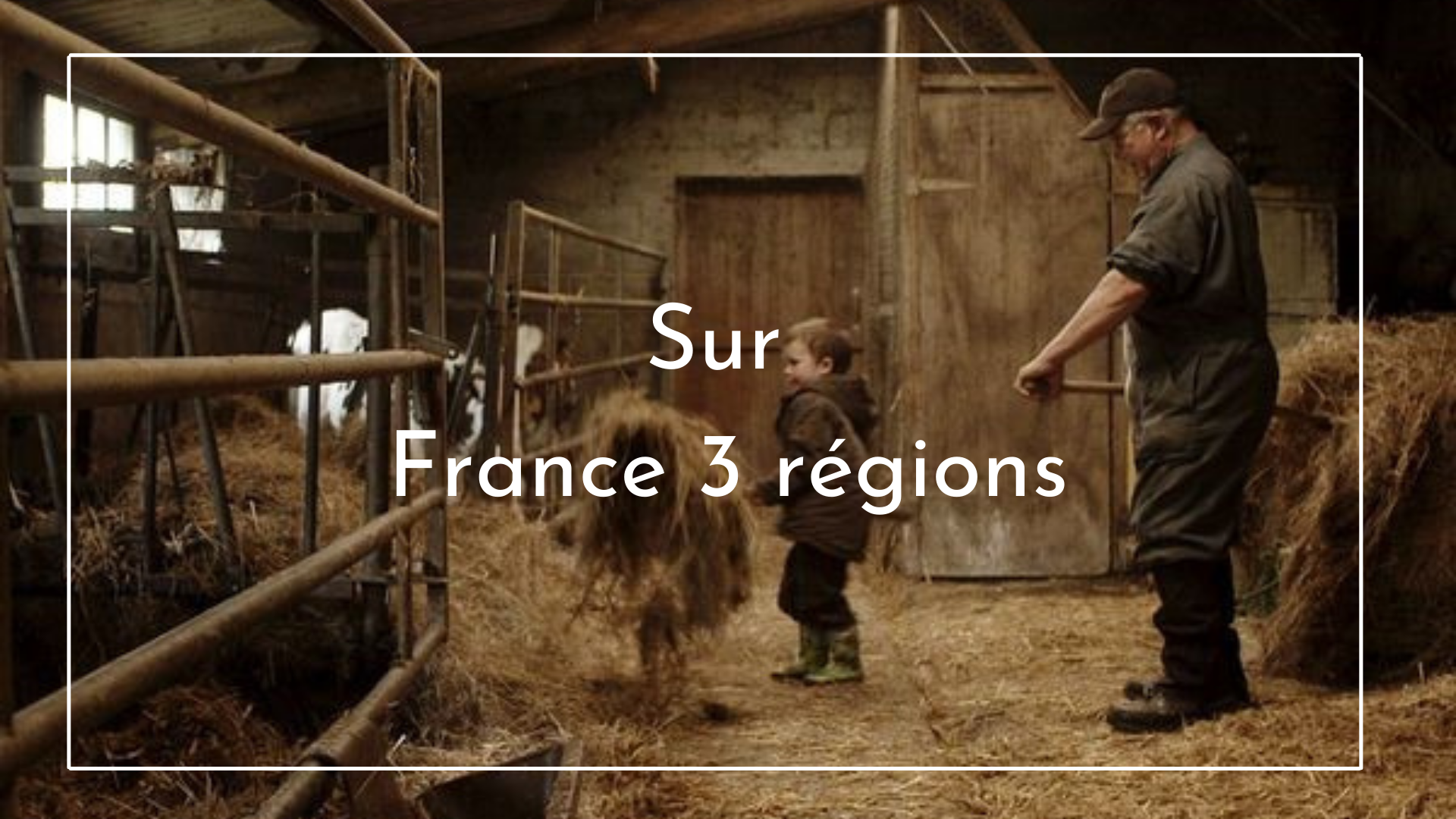 Sur France 3 régions