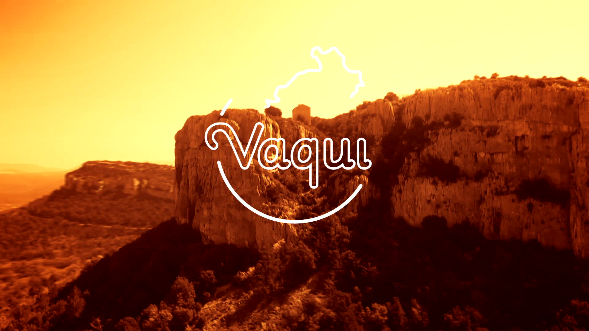 Logo Vaqui