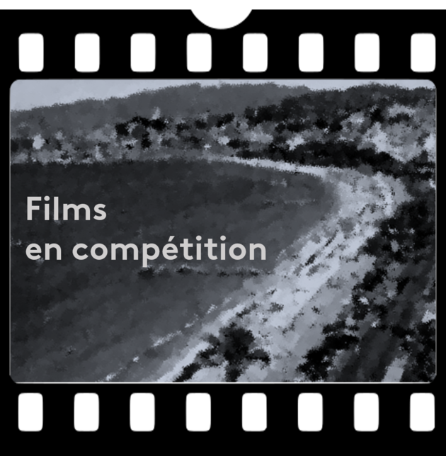 Films à l'antenne