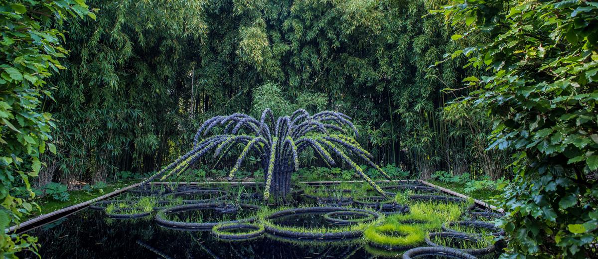 plantes