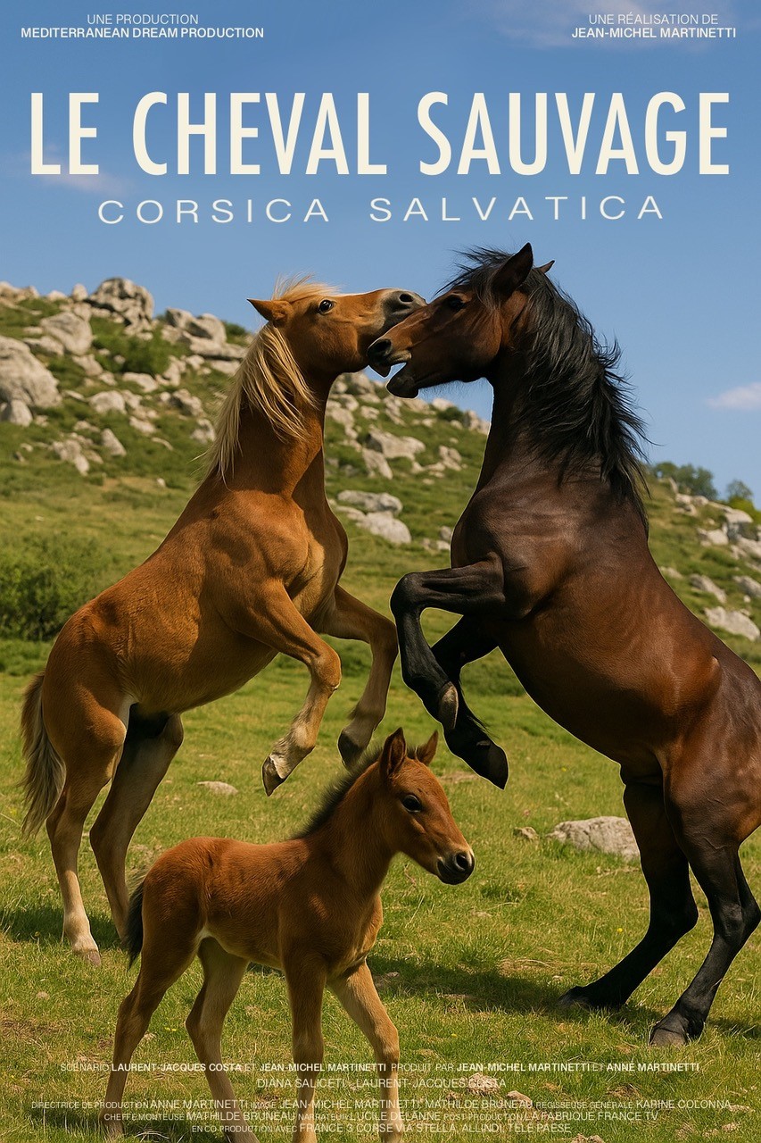 u cavallu di Corsica