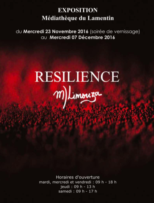 affiche exposition "Résilience" @Marie José Limouza