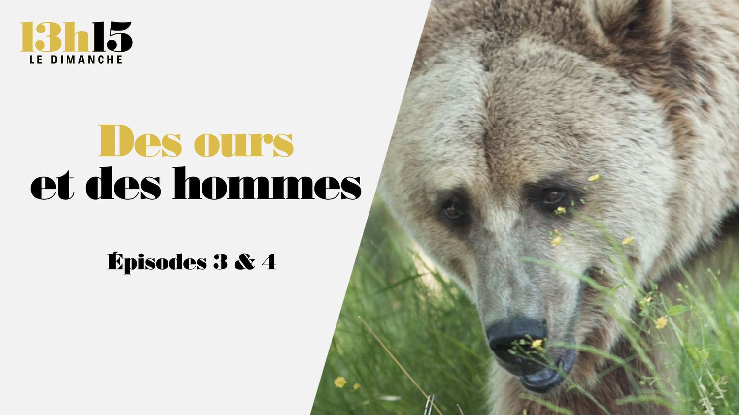 des ours et des homes épisodes 3 et 4