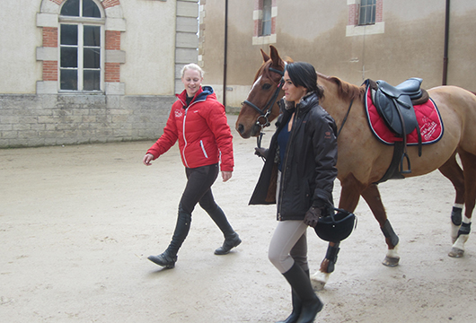 Haras de Cluny