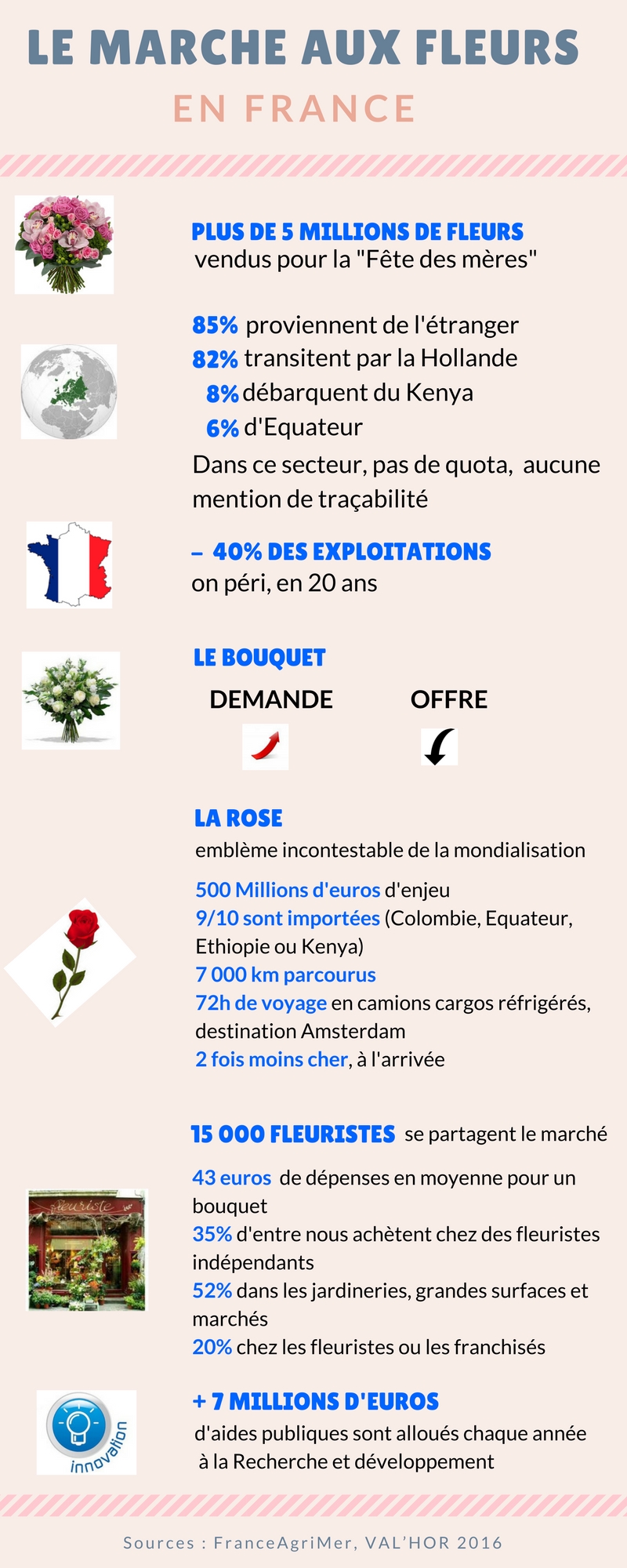 Infographie Les Fleurs