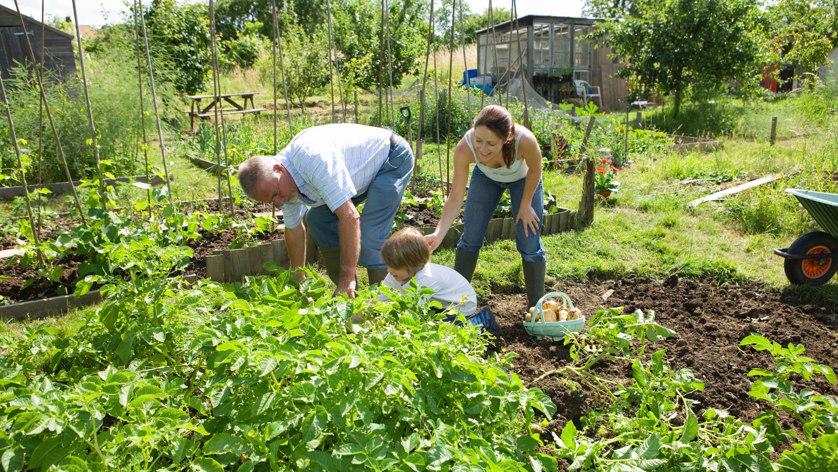 jardin familiale dans Enquêtes de région