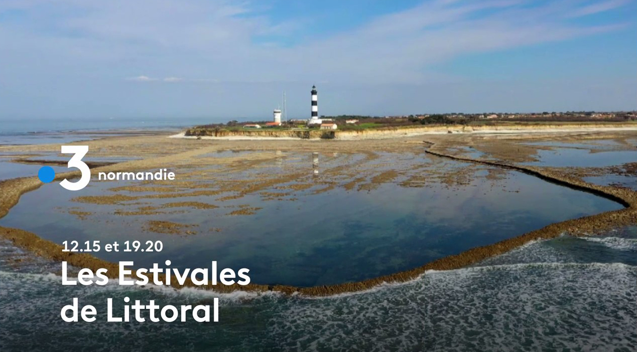 Les Estivales de Littoral