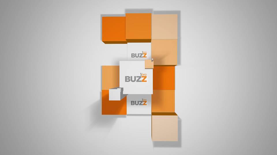 logo de buzz 1ère @philippegesberg/guadeloupe1ere