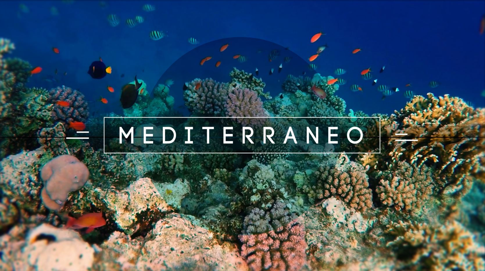 Mediterraneo