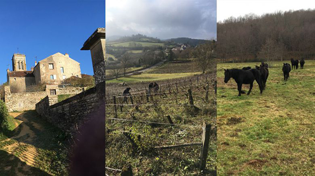 Escapade dans le Morvan