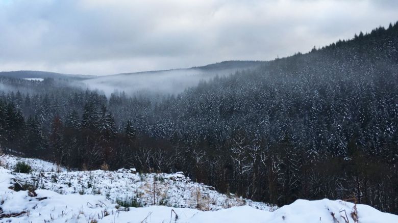 Colline du Morvan©Hanami