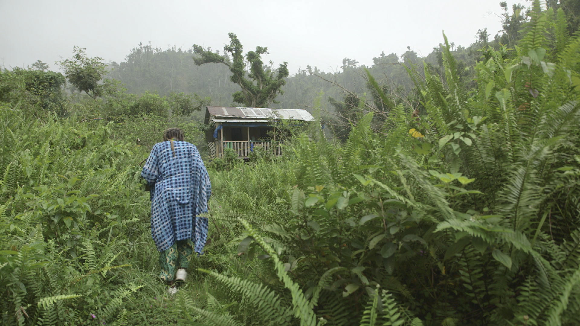 LA DOMINIQUE, UNE ÎLE EN ÉBULLITION