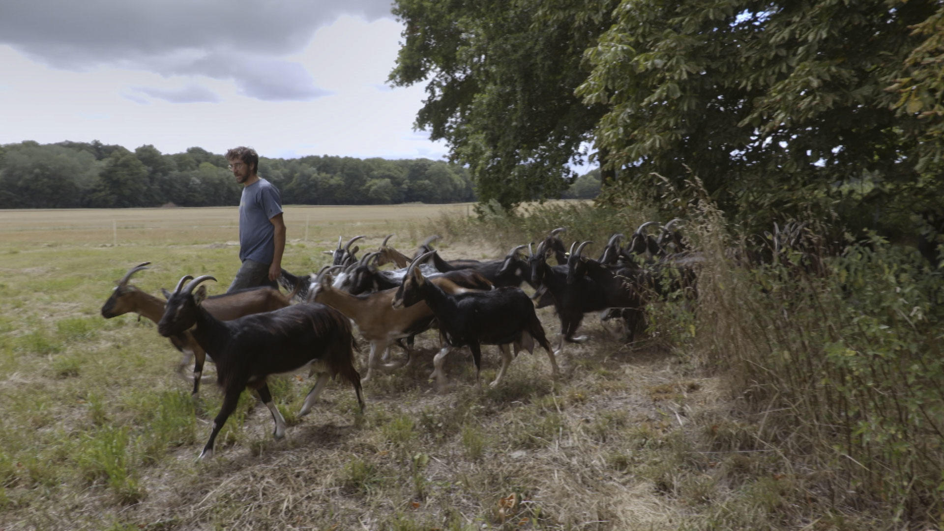 La nouvelle clé des champs © ARTLINE FILMS