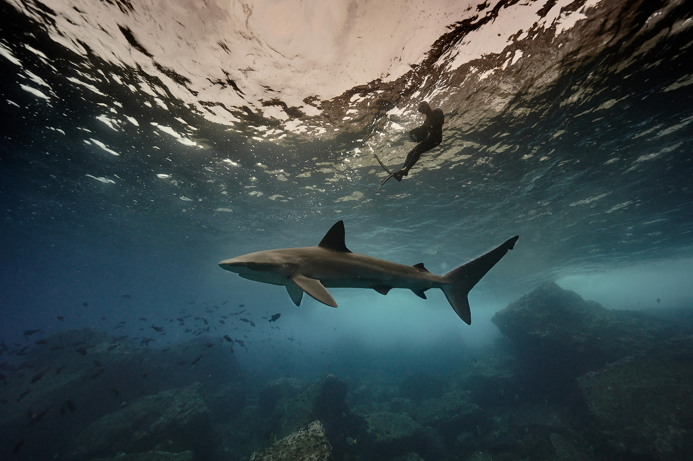 REQUINS : L' AVENTURE SECRETE © Frédéric BUYLE