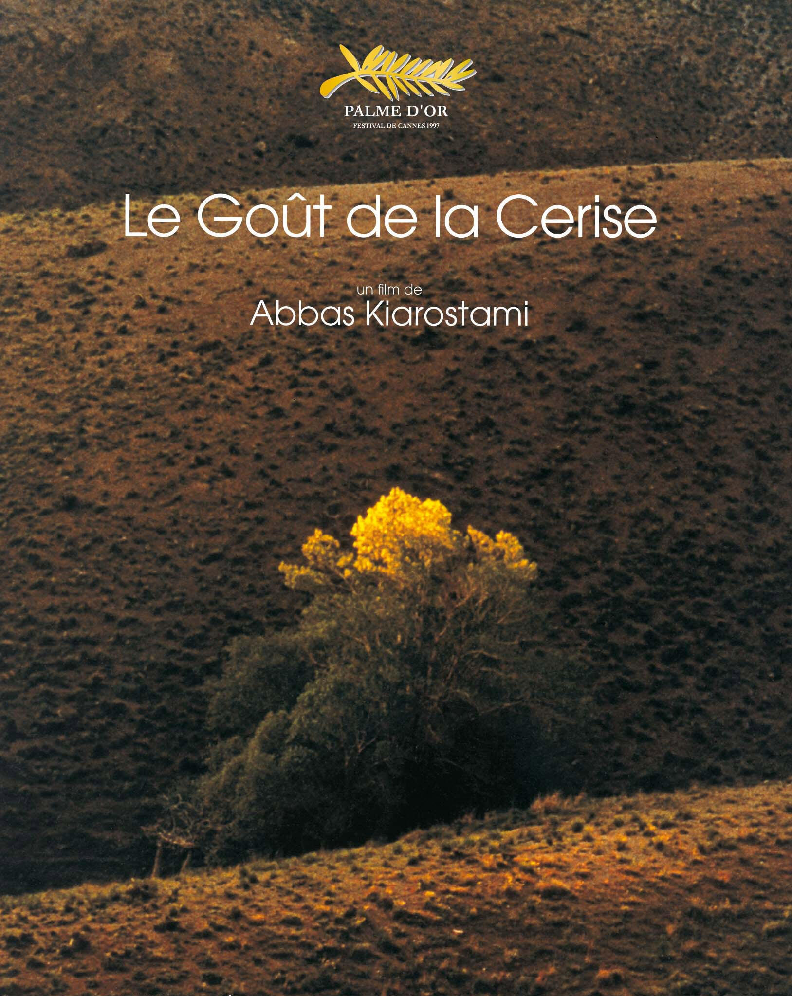 Le goût de la cerise