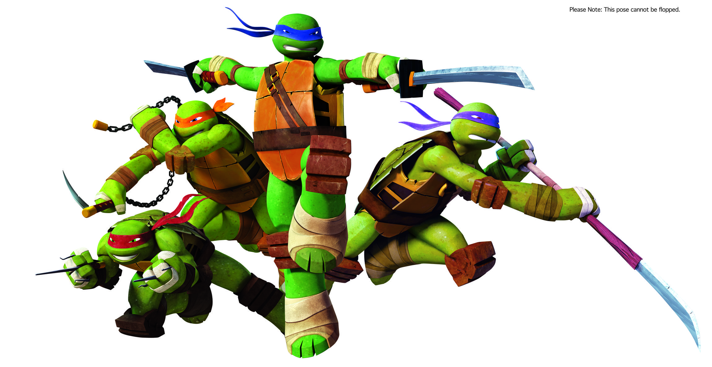 tortue ninja