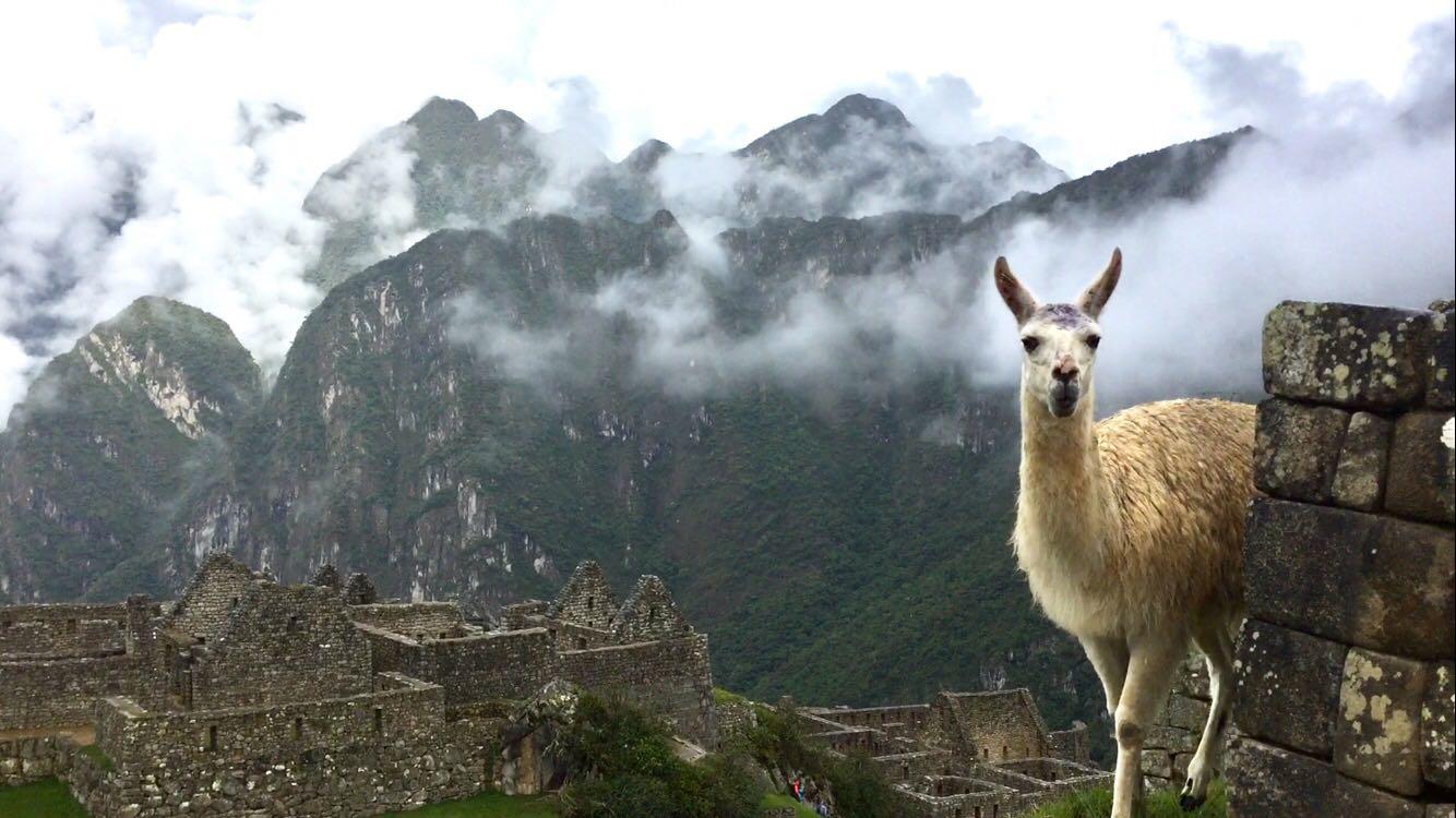 MACHU PICCHU LE SECRET DES INCAS