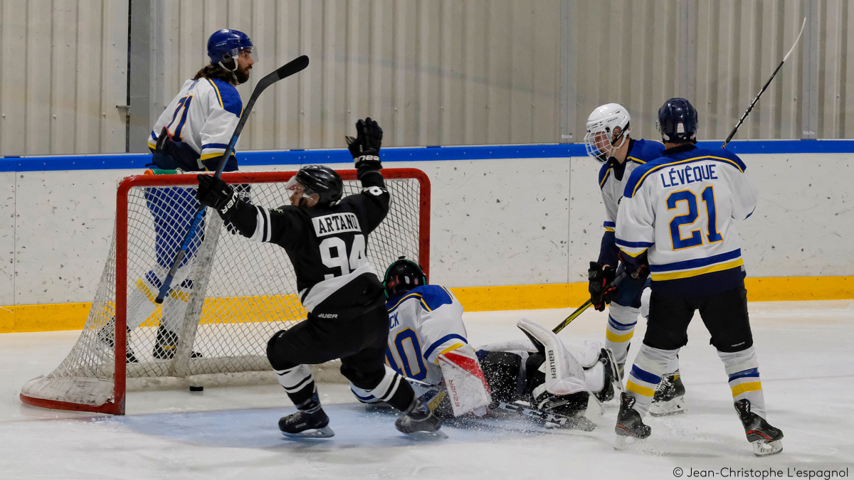 Hockey sur glace