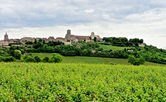 Saint-Vincent Tournante à Vézelay