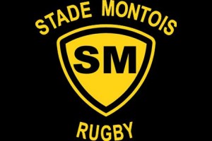 logo stade Montois Rugby Mont de Marsan