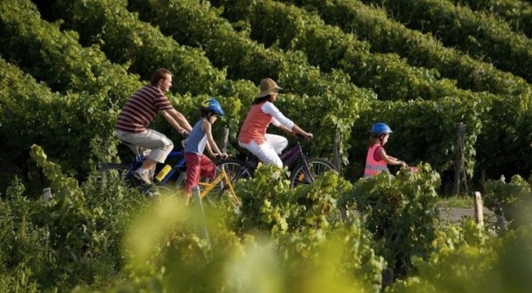©Droits Réservés/touristes à vélo dans les vignes du Languedoc