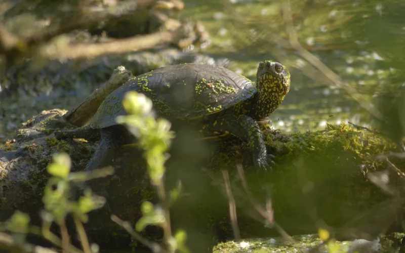 Le tour de France de la biodiversité (2025) © MNHN - Gedeon Programmes