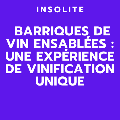 barriques