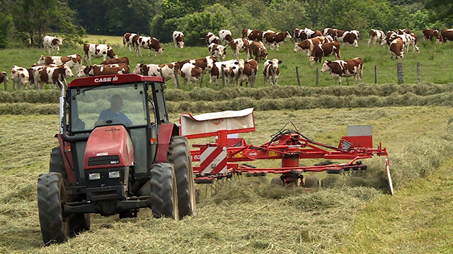 Ils font du foin