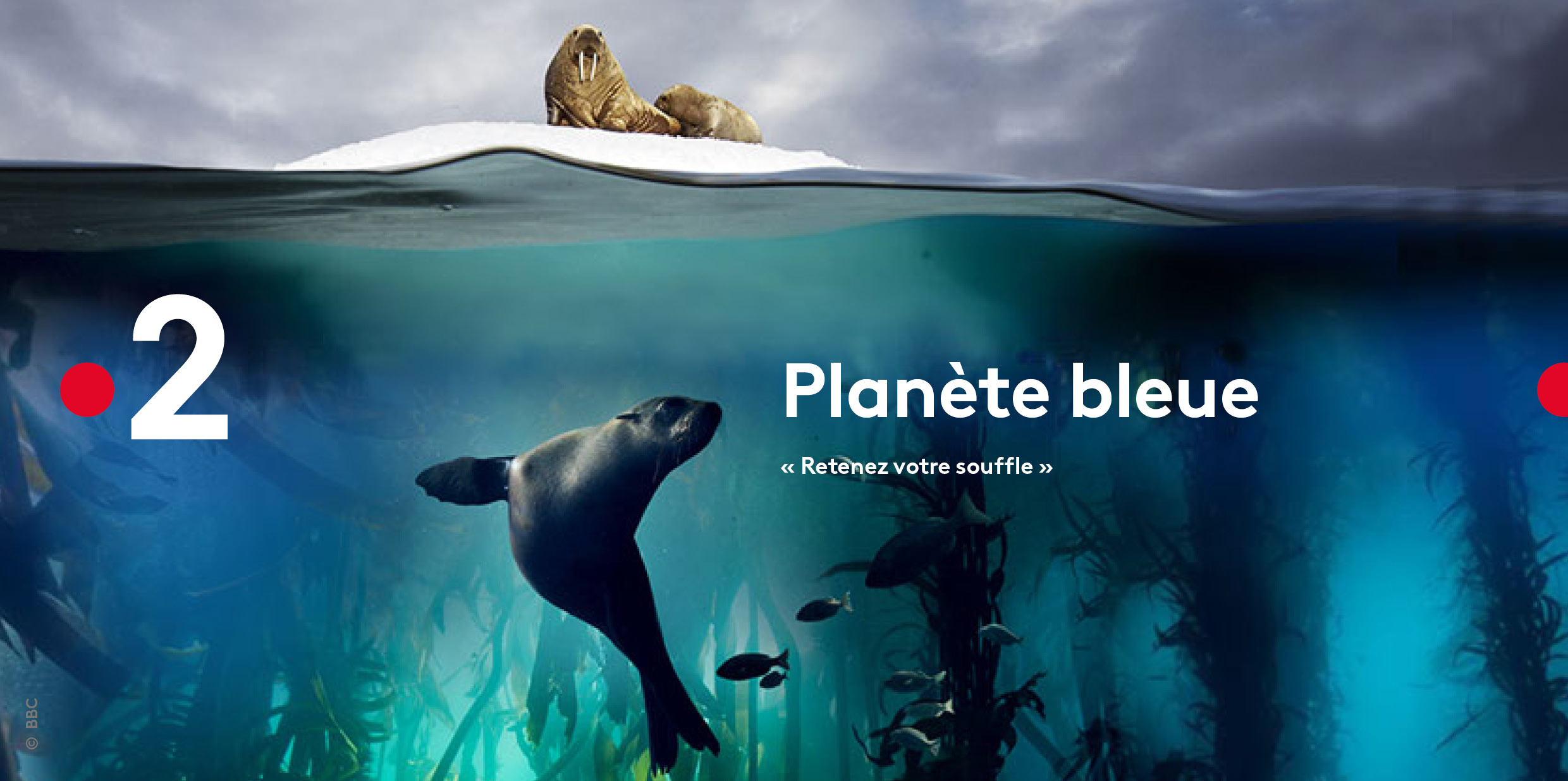 Planète bleue