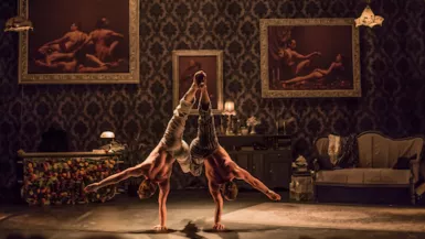 the-elephant-in-the-room