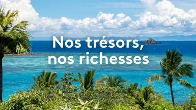 © burroblando Collection nos trésors nos richesses