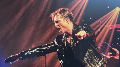 David Hallyday - Requiem pour un fou