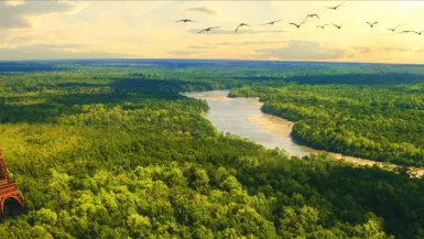 France le fabuleux voyage Pour cette soirée événement à l’occasion de la Fête de la Science, le réseau La 1ère vous propose de remonter le temps et ainsi découvrir la fabuleuse histoire naturelle de la France grâce à de spectaculaires effets spéciaux.