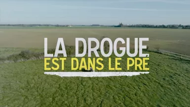 La drogue est dans le pré