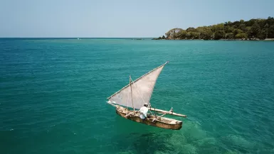 Les engagés de l’île aux parfums © La Cerise sur le Gâteau Prod Les engagés de l’île aux parfums © La Cerise sur le Gâteau Prod