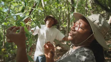 Guadeloupe, graines d'avenir