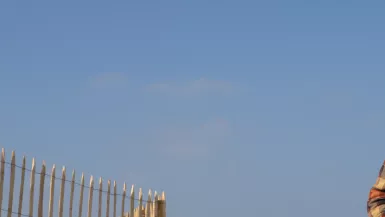 @ Winter productions