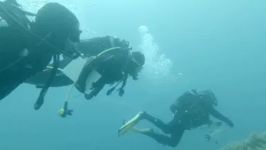 Les héros du patrimoine - ils veulent sauver l'océan Les héros du patrimoine - ils veulent sauver l'océan