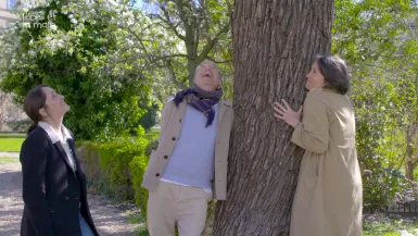 Ca pousse, en silence !