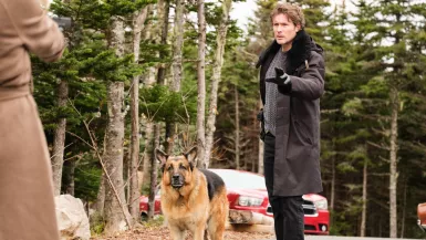 Shaftesbury Pope Production / Derm Carberry