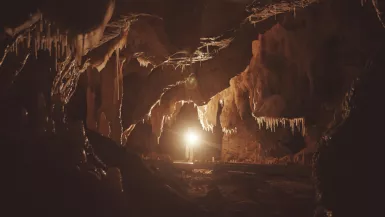 © france.tv studio Chauvet, voyage aux origines