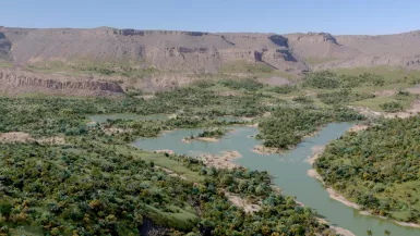 Sahara vert, l'énigme du paradis perdu
