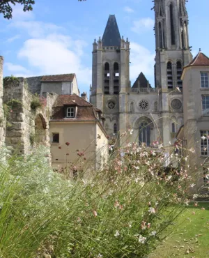 senlis