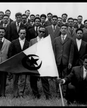 Cellule FLN Cellule FLN