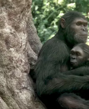 NOS ANCÊTRES LES HOMINIDÉS